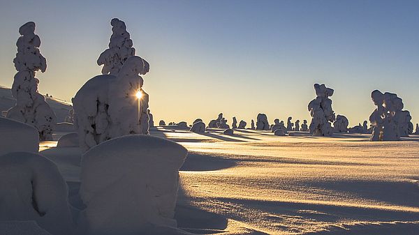 ICYE Freiwilligenarbeit in Europa: Finnland