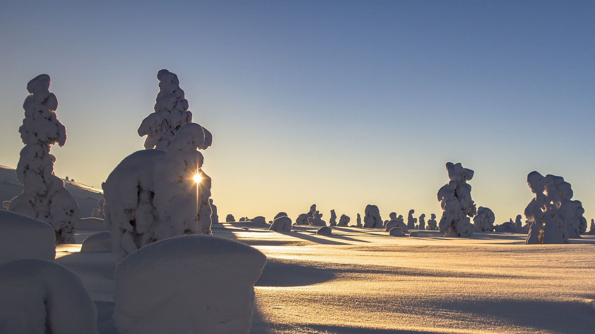 ICYE Freiwilligenarbeit in Europa: Finnland