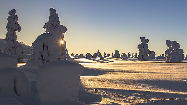 ICYE Freiwilligenarbeit in Europa: Finnland