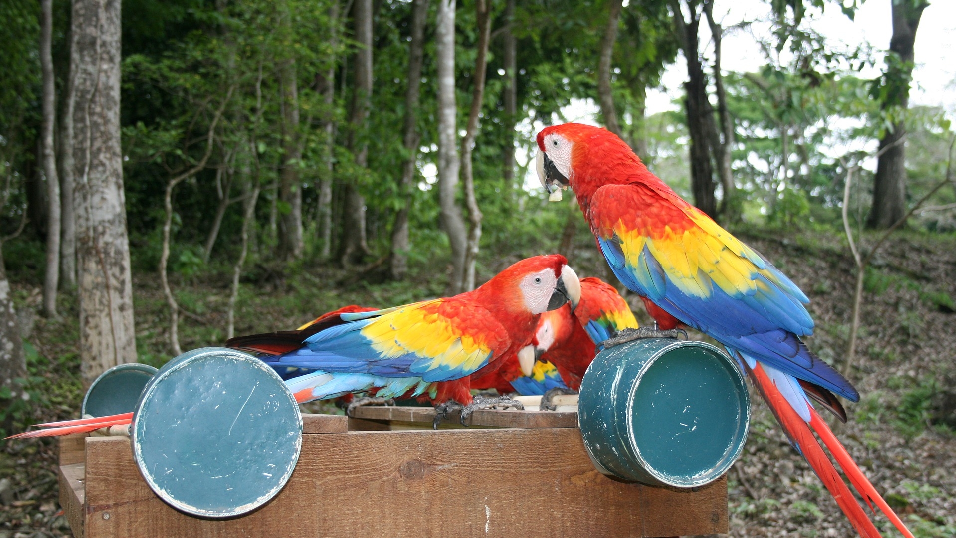 Honduras
