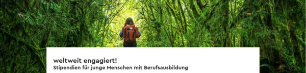 Weltweit engagiert durch Mercator Stipendium und ICYE Schweiz. 