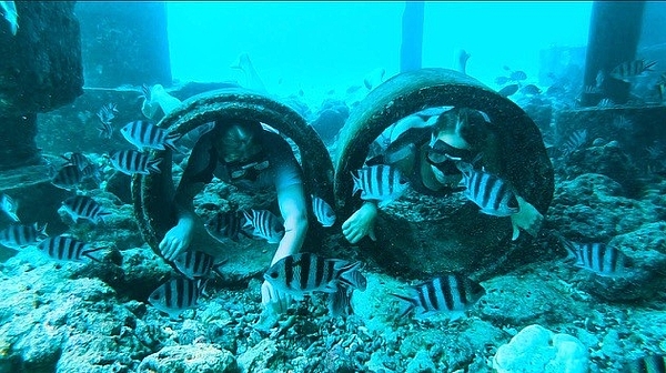 poissons sous l'eau