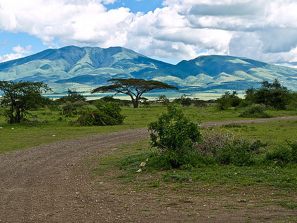 ICYE Kenya Freiwilligenarbeit