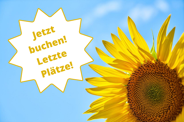 Noch wenige Plätze im Juli/August Langzeitprogramm mit ICYE