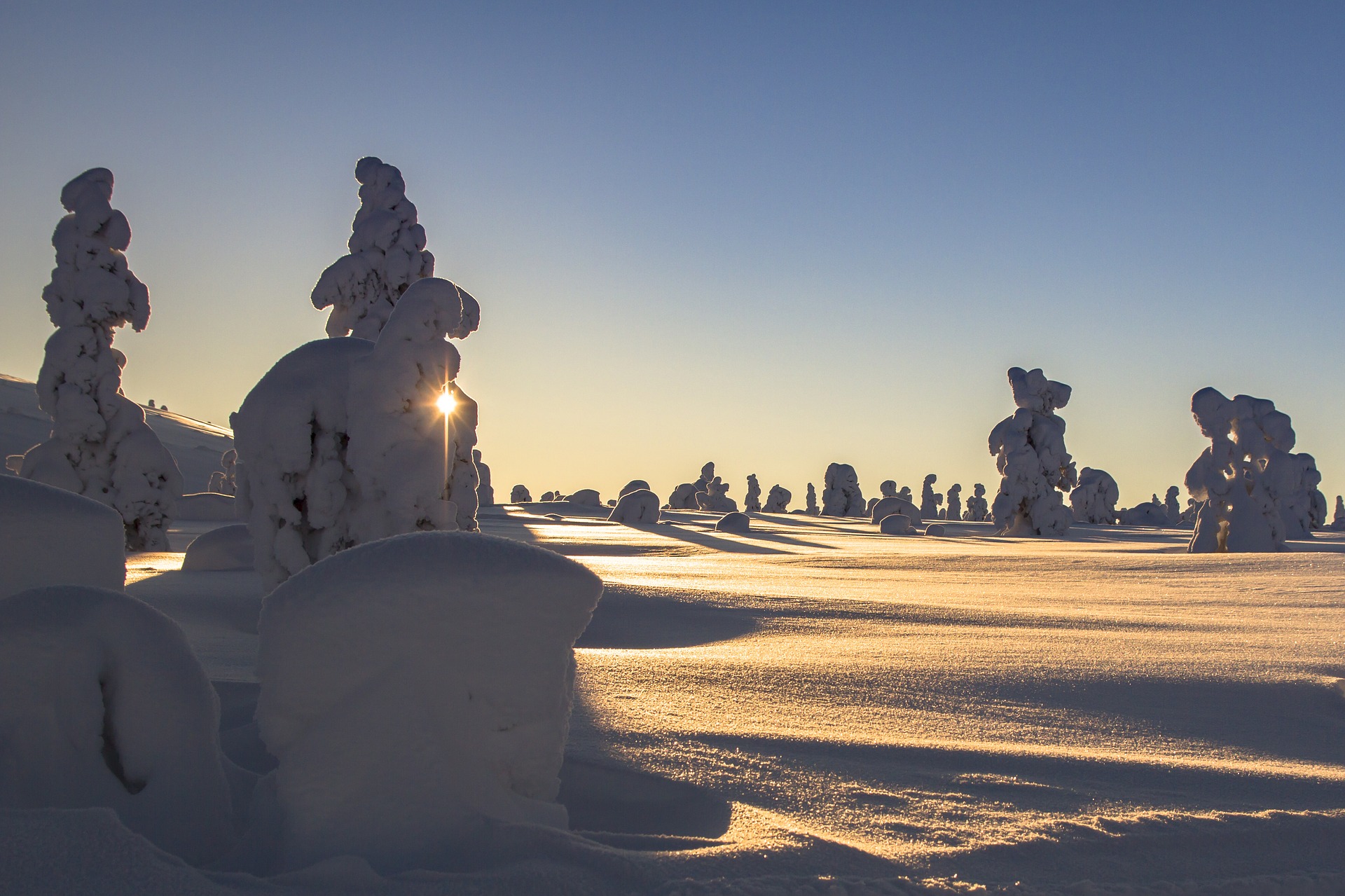 ICYE Freiwilligenarbeit in Europa: Finnland