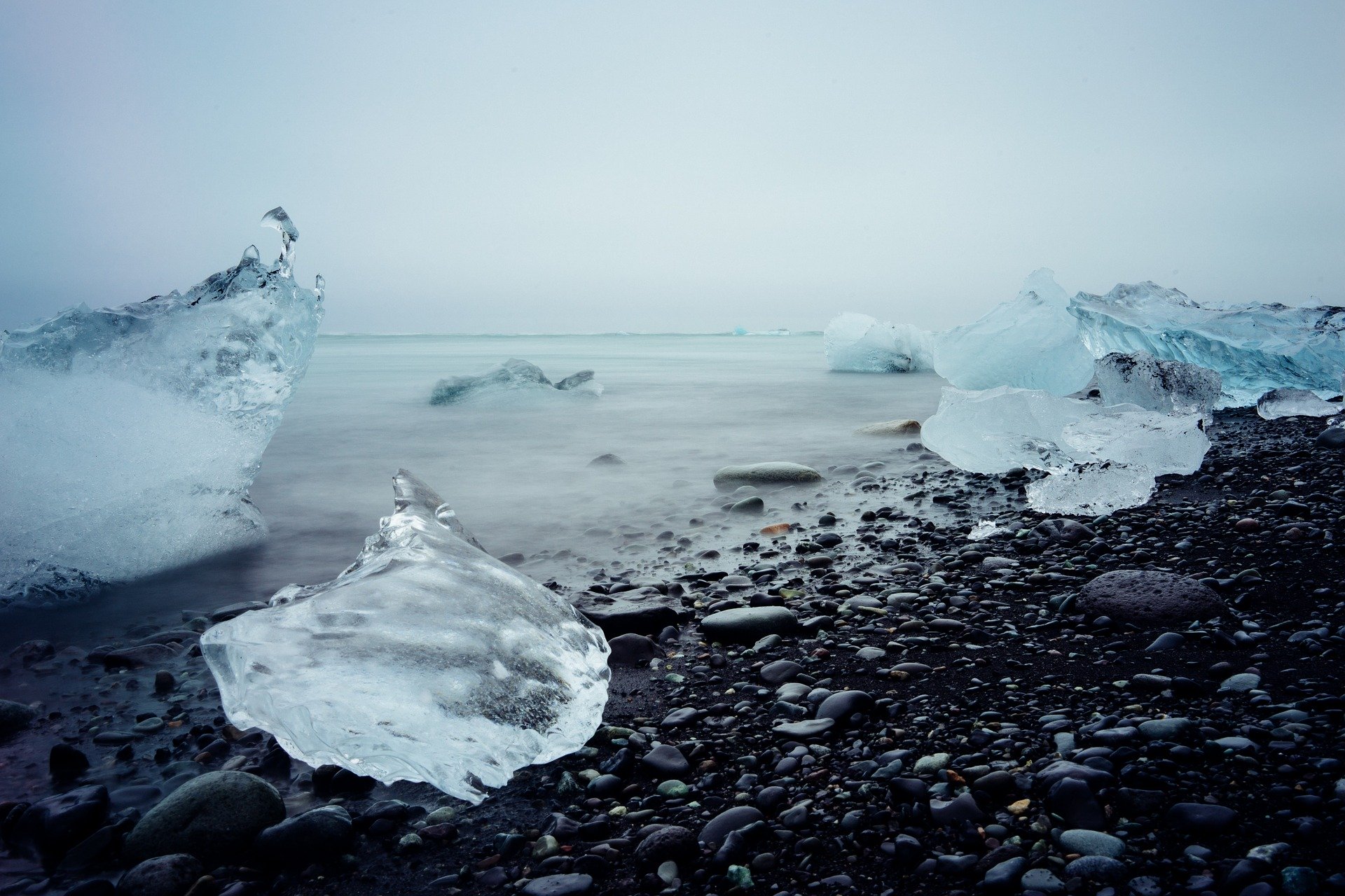 ICYE Freiwilligenarbeit in Europa: Island